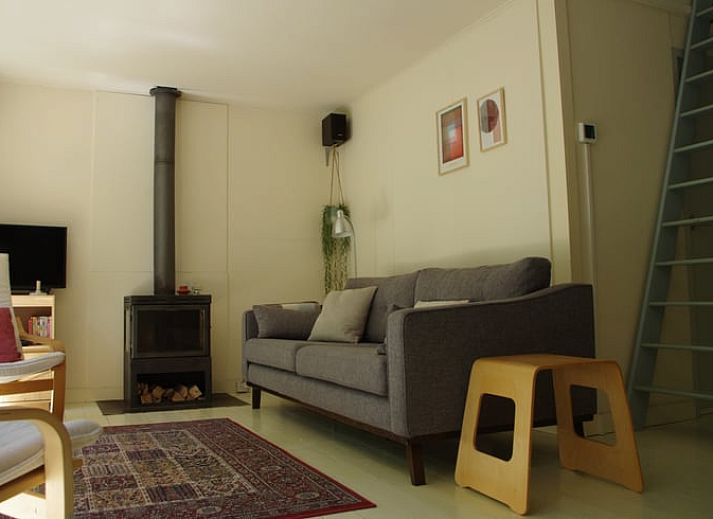 Bosrijke omgeving van Huisje in Stegeren, vakantiehuis in Overijssel.