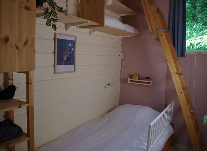 Tuin met trampoline bij Huisje in Stegeren, vakantiehuis in Vechtstreek, Overijssel.