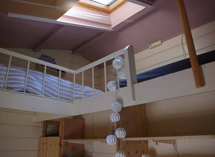 Tuin met trampoline bij Huisje in Stegeren, vakantiehuis in Vechtstreek, Overijssel.