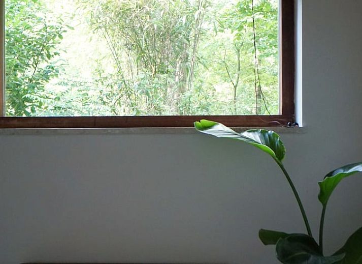 Moderne woonkamer met TV en kachel in Vakantiehuisje in Stegeren, Vechtstreek, Overijssel.