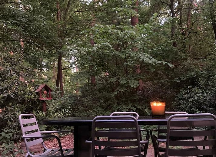 Moderne woonkamer met TV en kachel in Vakantiehuisje in Stegeren, Vechtstreek, Overijssel.