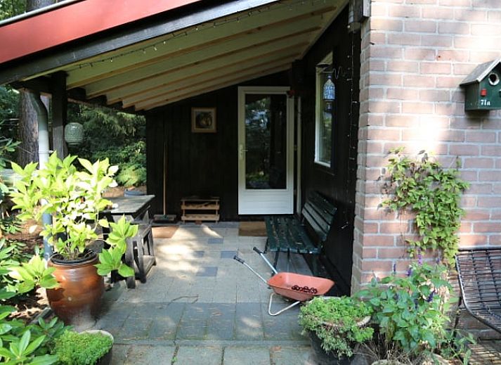 Ferienhaus in Stegeren, Overijssel mit schattiger Veranda, umgeben von gruener Natur.