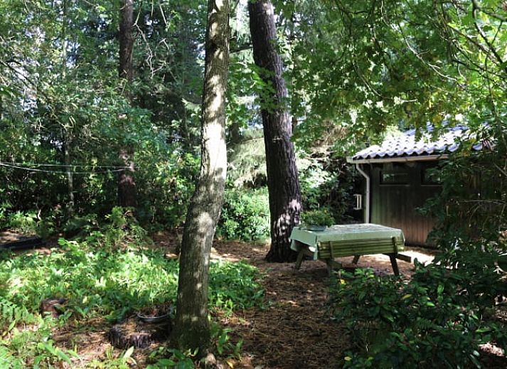 Ferienhaus in Stegeren, Region Vecht, umgeben von bluehenden Straeuchern und ueppiger Natur.