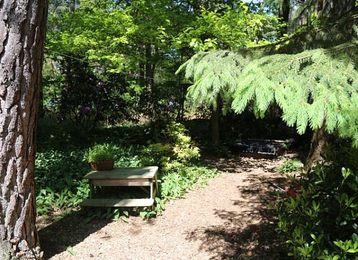 Ferienhaus in Stegeren, Region Vecht, umgeben von bluehenden Straeuchern und ueppiger Natur.