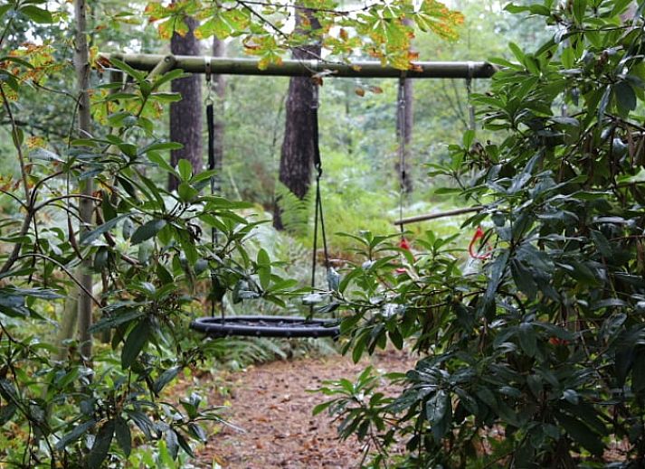 Ferienhaus in Stegeren, Region Vecht, umgeben von bluehenden Straeuchern und ueppiger Natur.