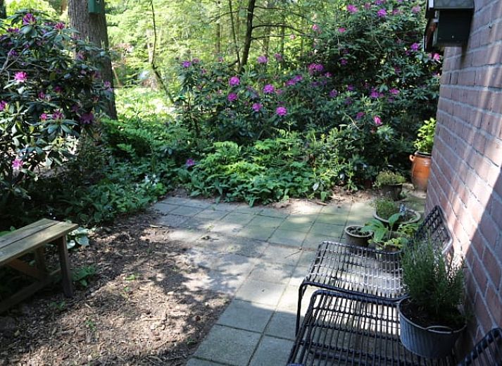 Rustikaler Eingang zum Ferienhaus in Stegeren, Overijssel mit schoenen Blumen und Gruenpflanzen.