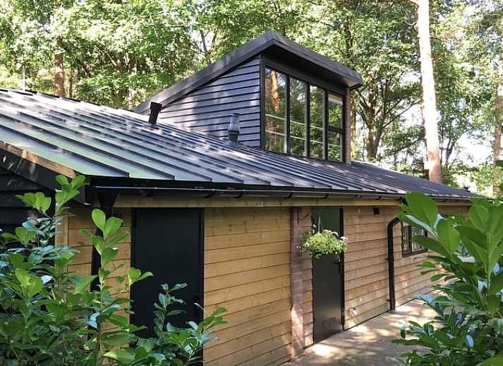 Guest house 542819 • Holiday property Vechtstreek • Vakantiehuis in Stegeren