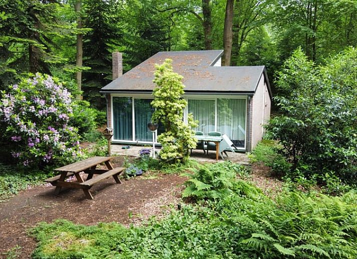 Guest house 542820 • Holiday property Vechtstreek • Vakantiehuis in Stegeren