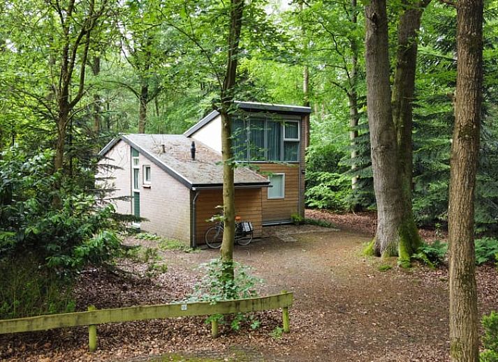 Guest house 542820 - Holiday property Vechtstreek - Vakantiehuis in Stegeren