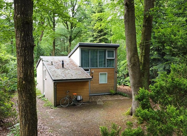Guest house 542820 - Holiday property Vechtstreek - Vakantiehuis in Stegeren
