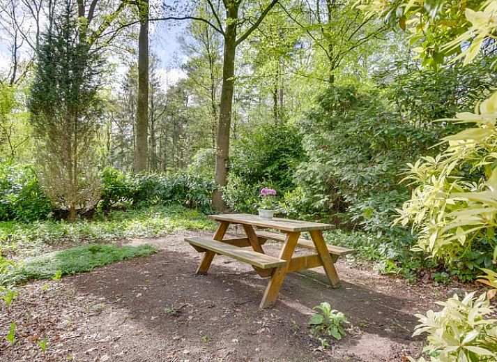 Guest house 542820 - Holiday property Vechtstreek - Vakantiehuis in Stegeren