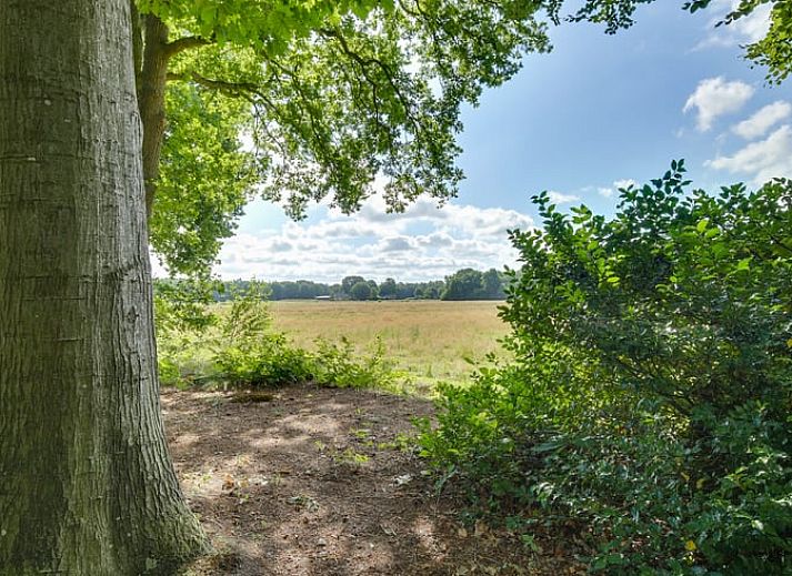 Guest house 542820 - Holiday property Vechtstreek - Vakantiehuis in Stegeren