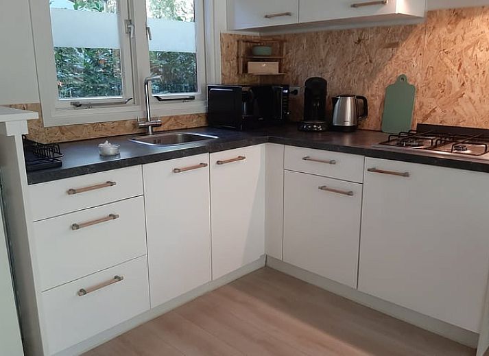 Das Ferienhaus in Stegeren liegt in der gruenen Natur der Region Vecht, Overijssel, und bietet einen ruhigen Rueckzugsort in einem bewaldeten Gebiet.