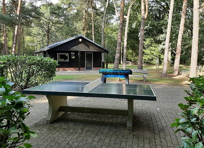 Geniessen Sie die Terrasse des Ferienhauses in Stegeren, Vechtstreek, Overijssel, mit bequemen Stuehlen und einem gemuetlichen Tisch.
