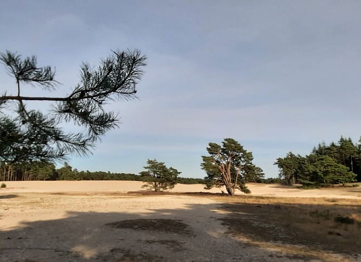 Gemuetliches Wohnzimmer des Ferienhauses in Stegeren, umgeben von Natur in der Region Vecht, Overijssel, mit grossem Fenster und bequemer Sitzecke.