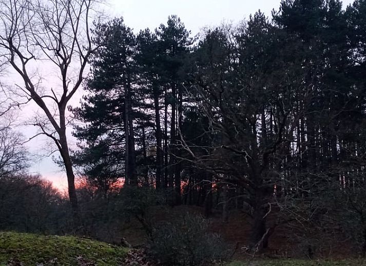 Moderne Kueche im Ferienhaus in Stegeren, Vechtstreek, Overijssel mit Mikrowelle und Kaffeemaschine.