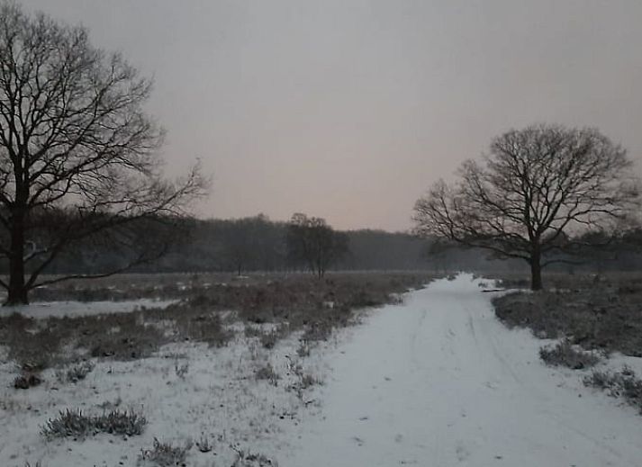 Moderne Kueche im Ferienhaus in Stegeren, Vechtstreek, Overijssel mit Mikrowelle und Kaffeemaschine.