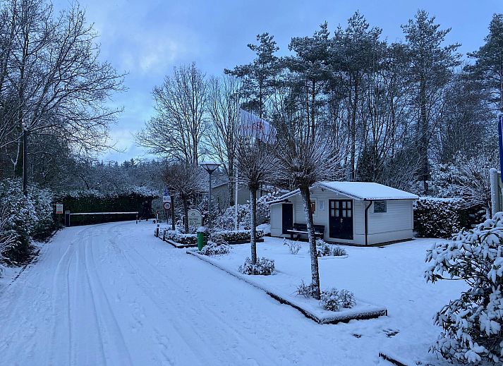 Verblijf 542824 - Vakantiewoning Vechtstreek - Knus chalet In een rustige omgeving met vijver