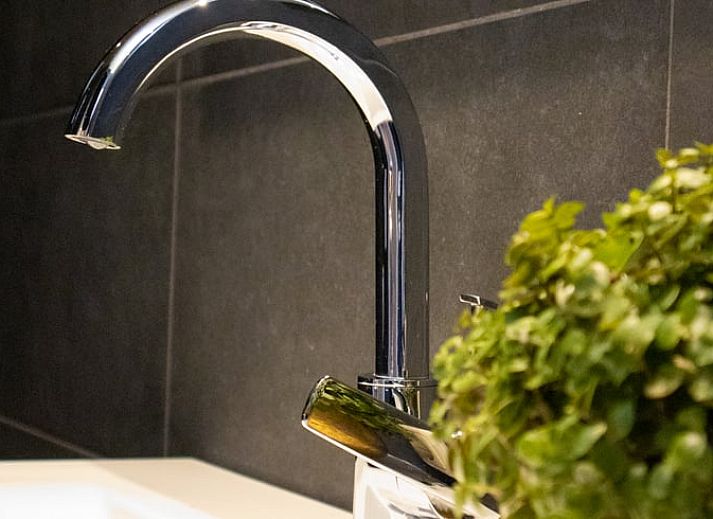 Exterior of Holiday home in Bruchterveld, Vecht region, Overijssel surrounded by green nature and tranquility.