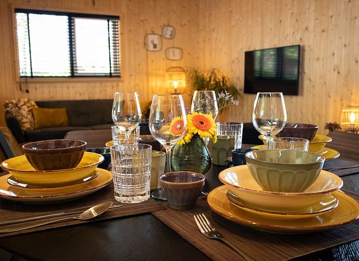 Spacious terrace of Holiday home in Bruchterveld, Vechtstreek, Overijssel overlooking a green garden.