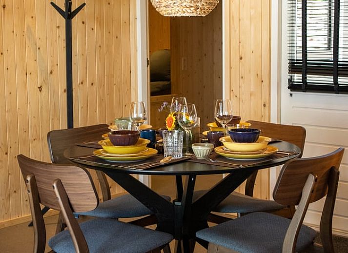 Spacious terrace of Holiday home in Bruchterveld, Vechtstreek, Overijssel overlooking a green garden.