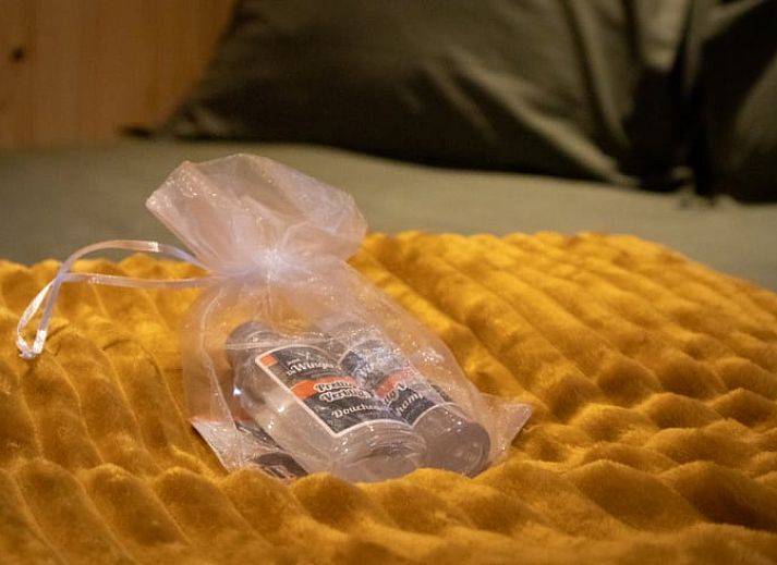 Spacious terrace of Holiday home in Bruchterveld, Vechtstreek, Overijssel overlooking a green garden.