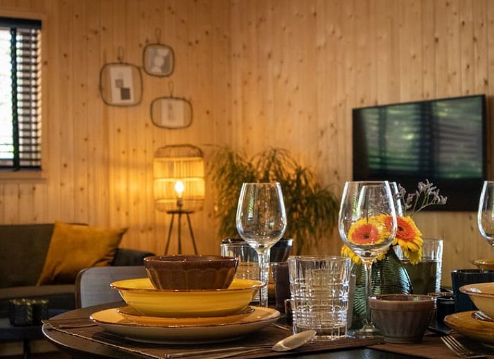 Spacious terrace of Holiday home in Bruchterveld, Vechtstreek, Overijssel overlooking a green garden.