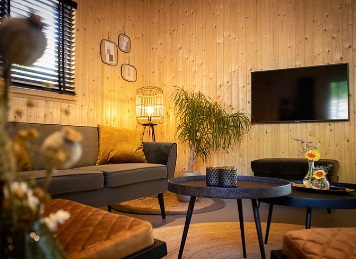 Stylish sink in the bathroom of Holiday Home in Bruchterveld, Vechtstreek, Overijssel with plant decoration.