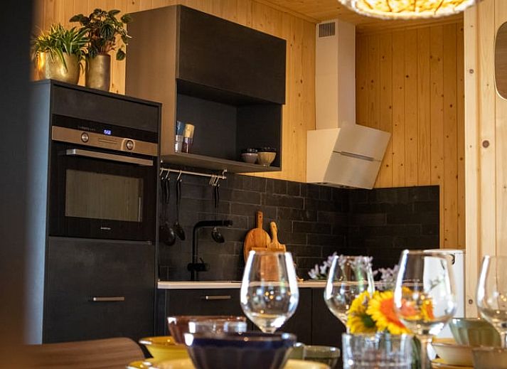 Stylish sink in the bathroom of Holiday Home in Bruchterveld, Vechtstreek, Overijssel with plant decoration.