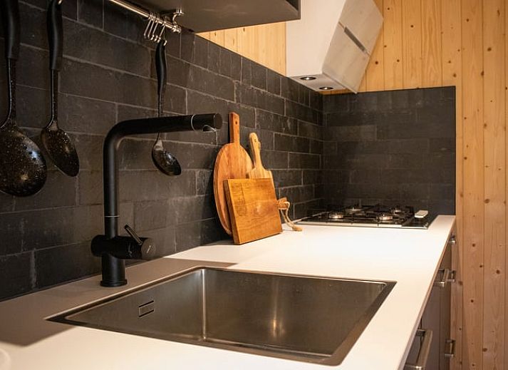 Stylish sink in the bathroom of Holiday Home in Bruchterveld, Vechtstreek, Overijssel with plant decoration.