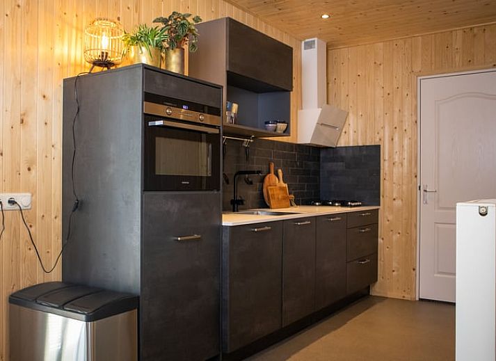 Stylish sink in the bathroom of Holiday Home in Bruchterveld, Vechtstreek, Overijssel with plant decoration.
