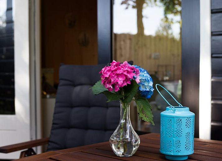 Gezellige woonkamer in Vakantiehuis in Bruchterveld, Vechtstreek, Overijssel met uitzicht op de tuin.