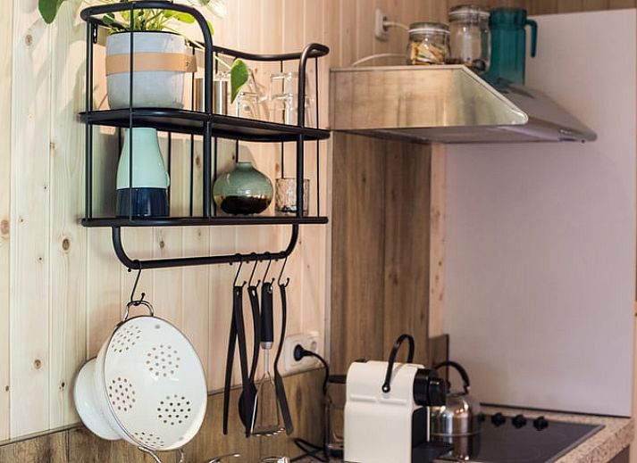 Buitenzijde van Vakantiehuis in Bruchterveld, omgeven door groen in Vechtstreek, Overijssel.