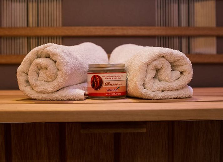 Buitenzijde van Vakantiehuis in Bruchterveld, omgeven door groen in Vechtstreek, Overijssel.