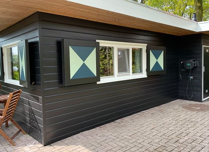 Bloemen op het terras van Vakantiehuis in Bruchterveld, charmante details in Vechtstreek, Overijssel.