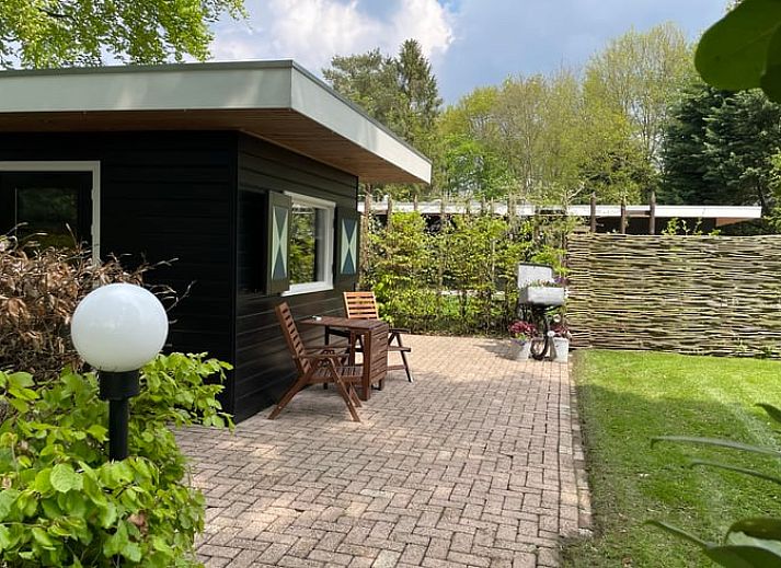 Bloemen op het terras van Vakantiehuis in Bruchterveld, charmante details in Vechtstreek, Overijssel.