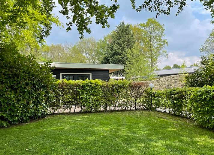 Bloemen op het terras van Vakantiehuis in Bruchterveld, charmante details in Vechtstreek, Overijssel.