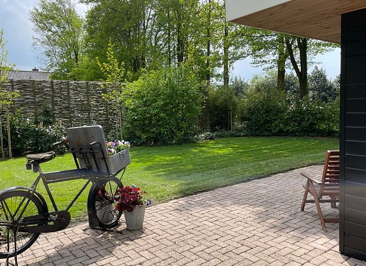 Bloemen op het terras van Vakantiehuis in Bruchterveld, charmante details in Vechtstreek, Overijssel.