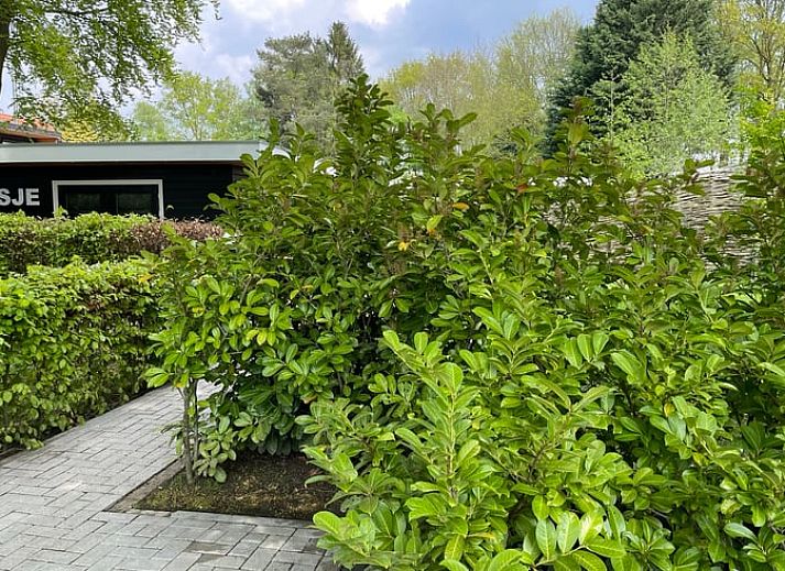 Eethoek en keuken in Vakantiehuis in Bruchterveld, knus en modern in Vechtstreek, Overijssel.