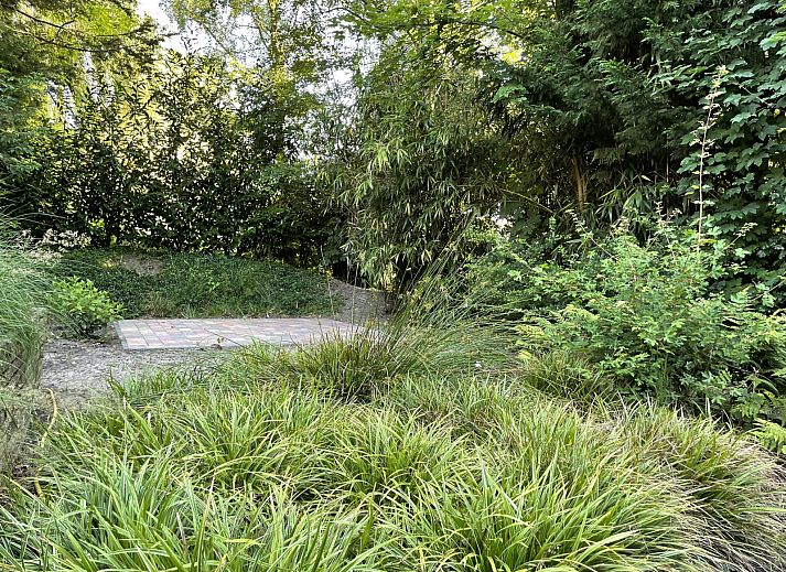 Verblijf 542908 - Vakantiewoning Vechtstreek - OV709