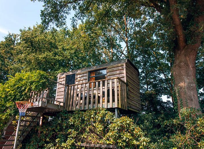 Guest house 542912 • Holiday property Vechtstreek • Huisje in Bruchterveld