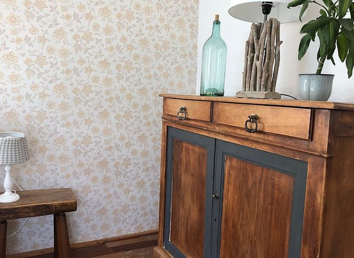 Gezellige houtkachel in Vakantiehuisje in Den Velde, Vechtstreek, Overijssel, biedt warme sfeer in de knusse binnenruimte van het vakantiehuis.