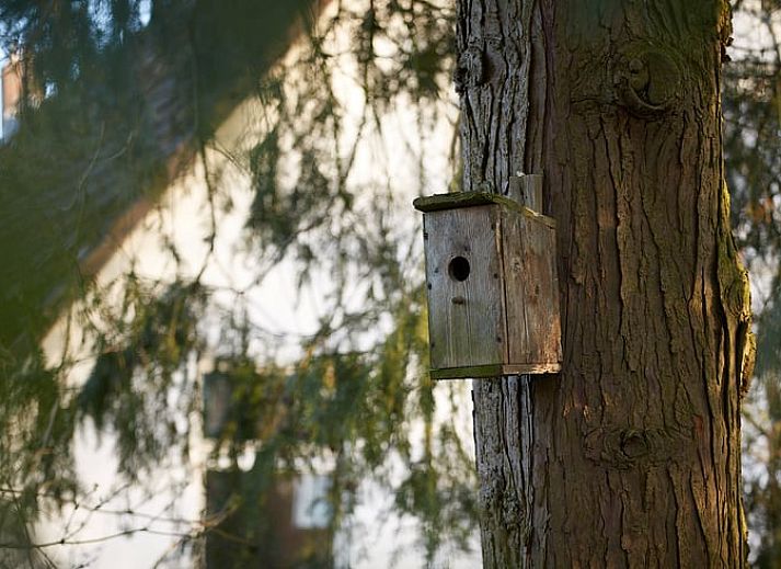 Gezellige houtkachel in Vakantiehuisje in Den Velde, Vechtstreek, Overijssel, biedt warme sfeer in de knusse binnenruimte van het vakantiehuis.