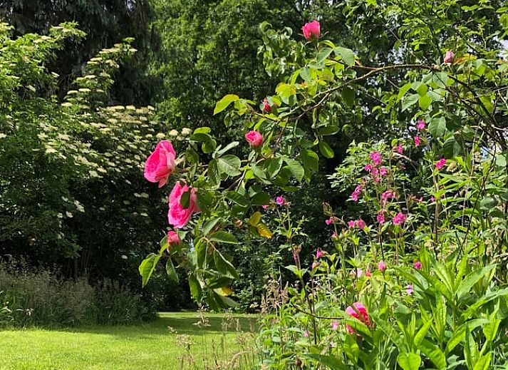 Gezellige eetkamer in Vakantiehuisje in Den Velde, Overijssel, met rustieke houten tafel en sfeervolle inrichting in de Vechtstreek.