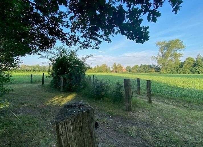 Unterkunft 543216 - Ferienhaus Vechtstreek - Huisje in Holtheme