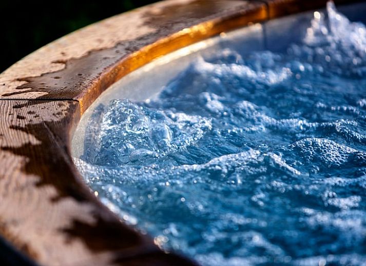 Vacation home in Hoonhorst with modern architecture in the Vecht region, Overijssel.