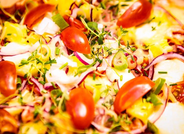 Panoramic view of nature around Holiday home in Hoonhorst, Vechtstreek, Overijssel.