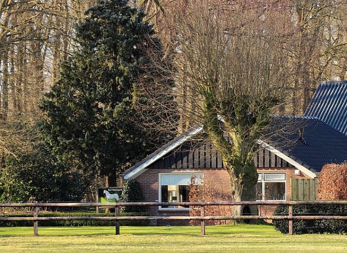 Rustikale Umgebung im Ferienhaus in Lemelerveld, Overijssel, mit weidenden Schafen und gruener Natur in der Region Vecht.