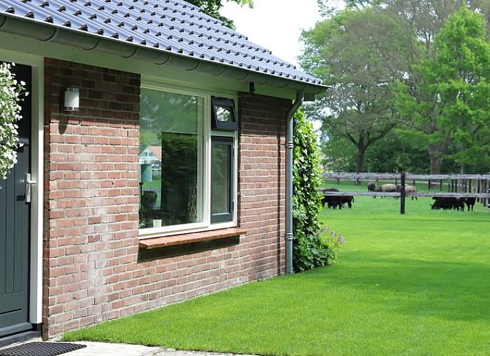 Rustikale Umgebung im Ferienhaus in Lemelerveld, Overijssel, mit weidenden Schafen und gruener Natur in der Region Vecht.