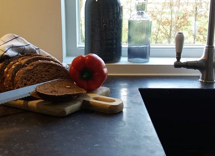 Gemuetliches Ferienhaus in Lemelerveld, umgeben von Baeumen in der Region Vecht, Overijssel, ideal fuer Naturliebhaber.